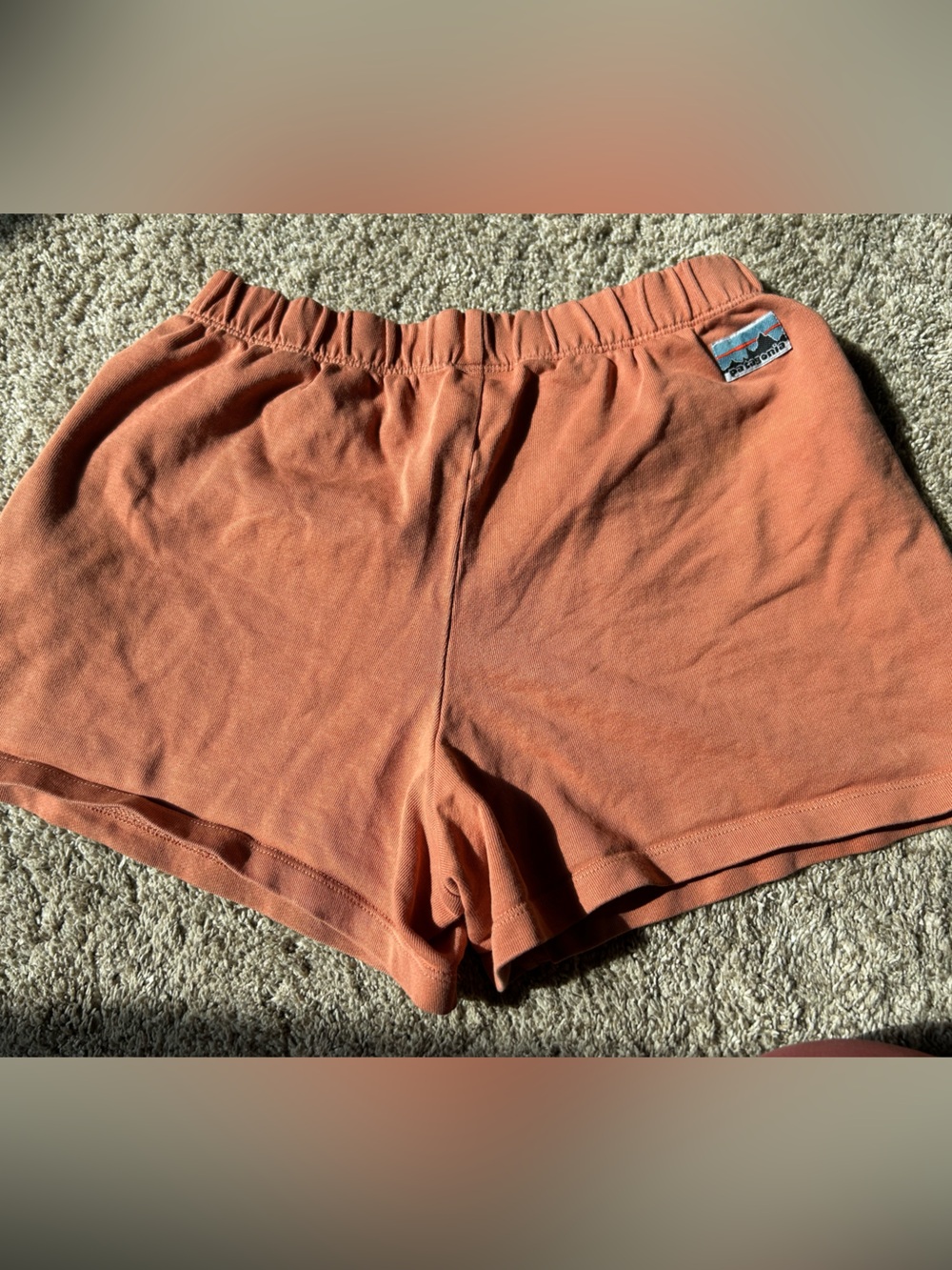 Patagonia Women's Regenerative Organic Certified Cotton Essential Short Small